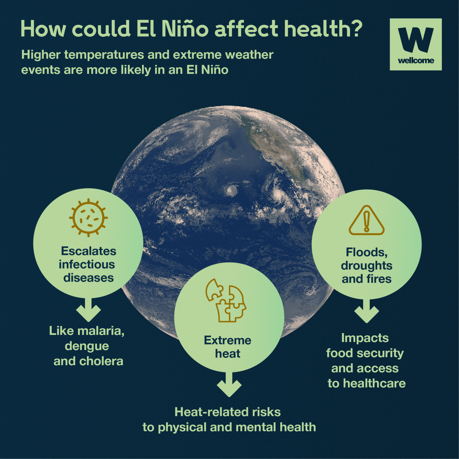 Explained how El Niño impacts health News